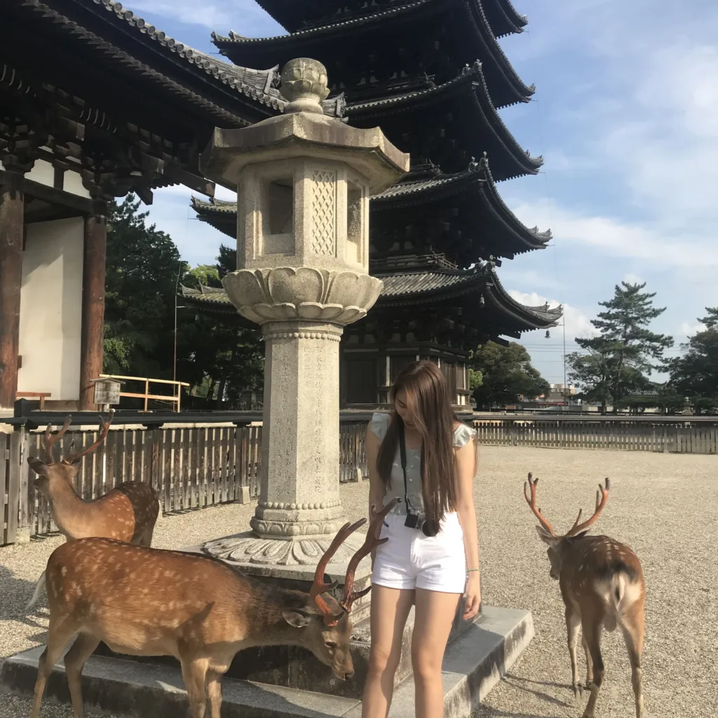 Deers at Kofokuji Temple in Nara